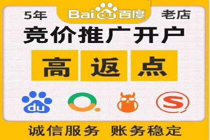 百度SEO推广公司经典之作：打造行业领先品牌